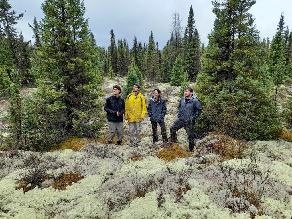 Gènes de résistance aux antibiotiques sur des lichens boréaux